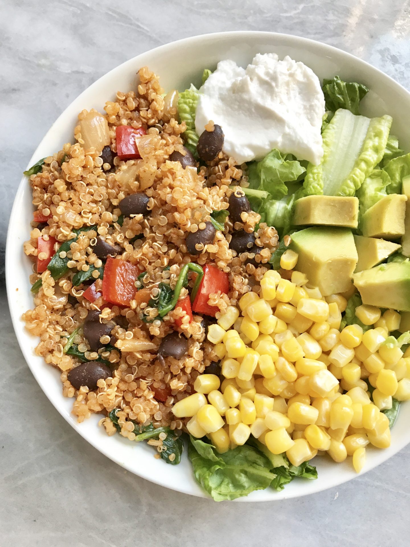 Black Bean & Chili Quinoa – Plant Based Jane