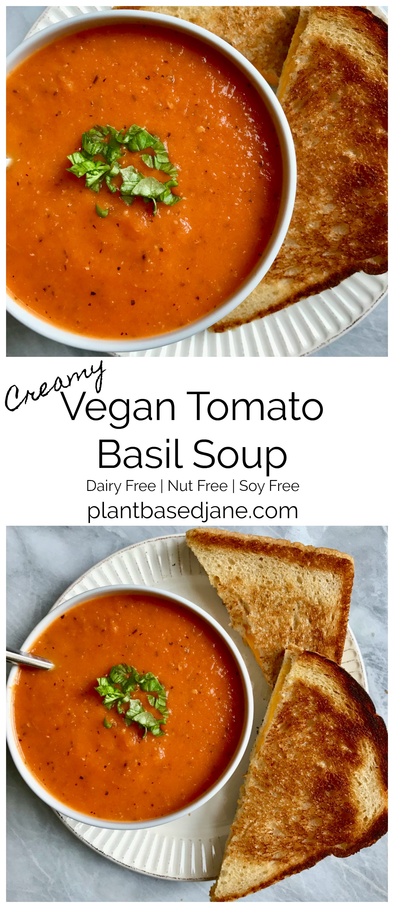 Creamy Tomato Basil Soup – Plant Based Jane